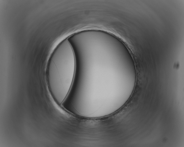X0000090991519200708021152