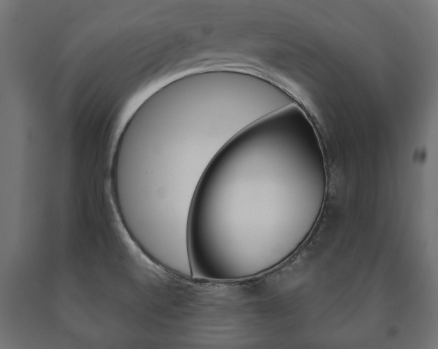 X0000090991520200708021152