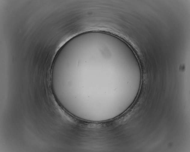 X0000090991521200708021152