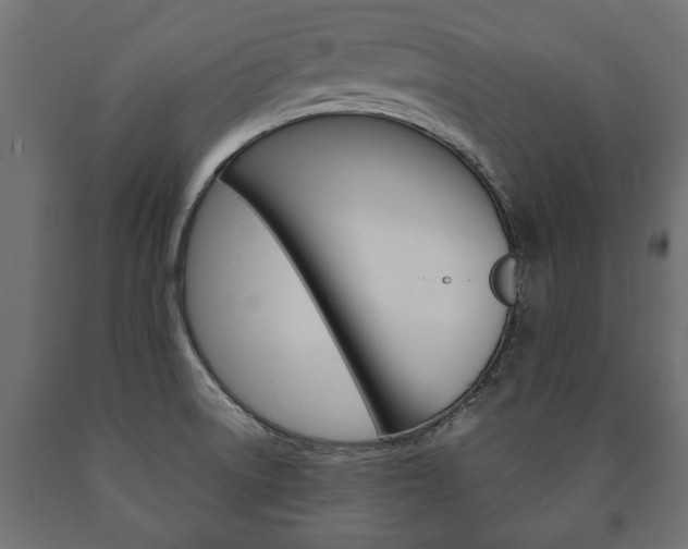 X0000090991522200708021152