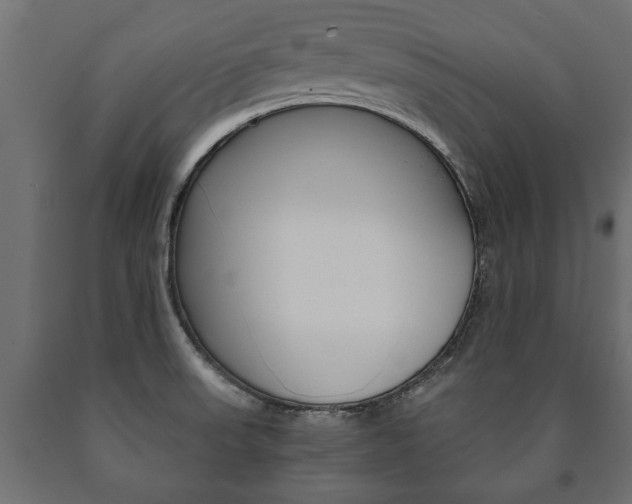X0000090991523200708021152