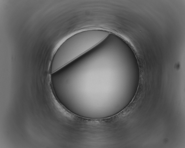 X0000090991524200708021152