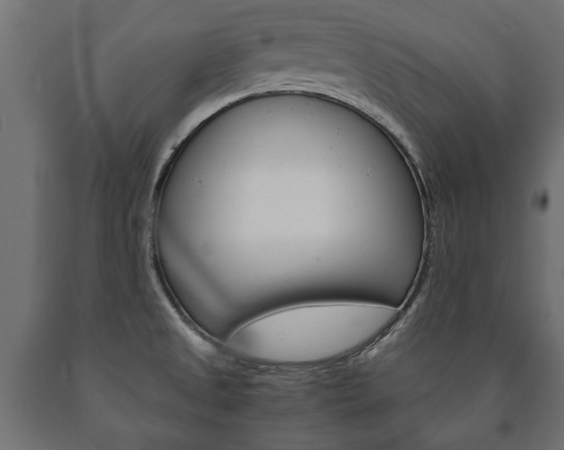 X0000090991525200708021152