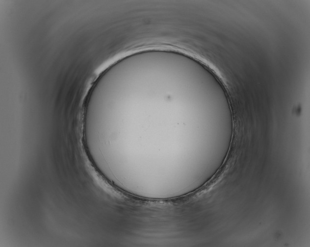 X0000090991526200708021152