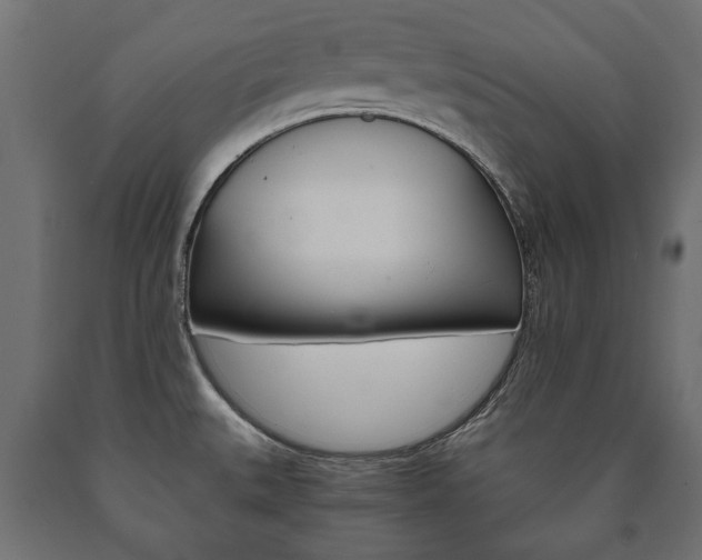 X0000090991527200708021152