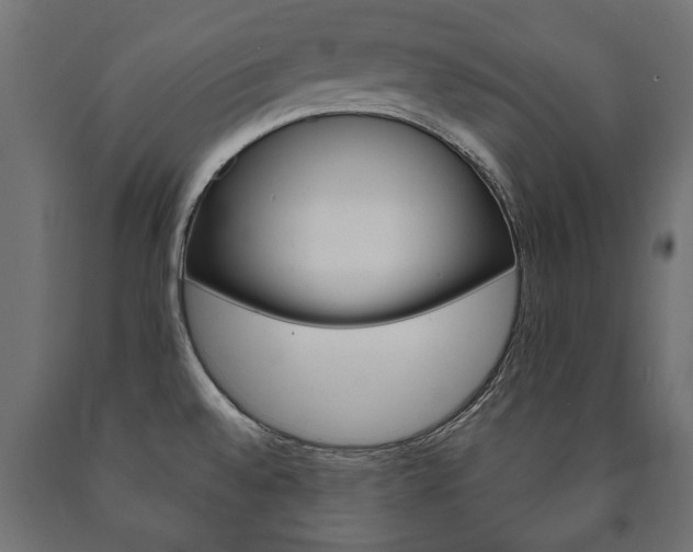X0000090991528200708021152