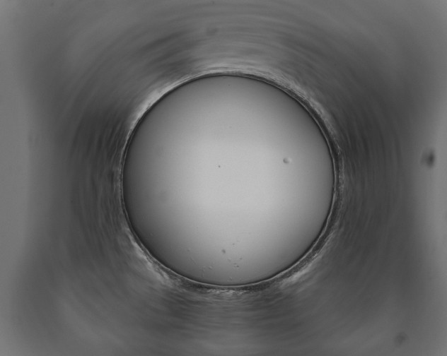 X0000090991529200708021152