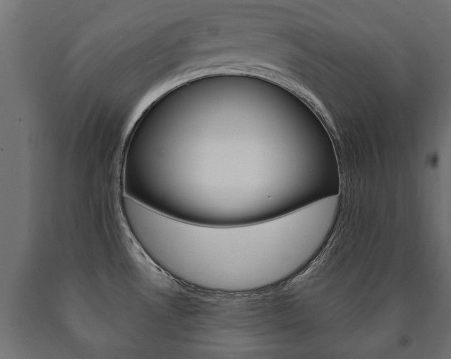 X0000090991530200708021152