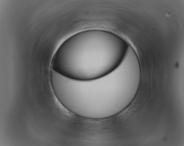 X0000090991532200708021152