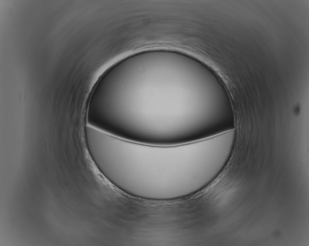 X0000090991534200708021152