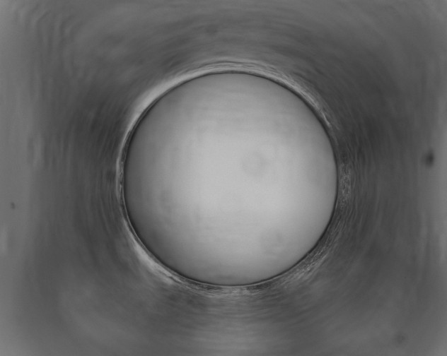 X0000090991535200708021152