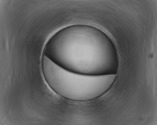 X0000090991536200708021152