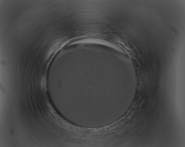 X0000090990002200708021532