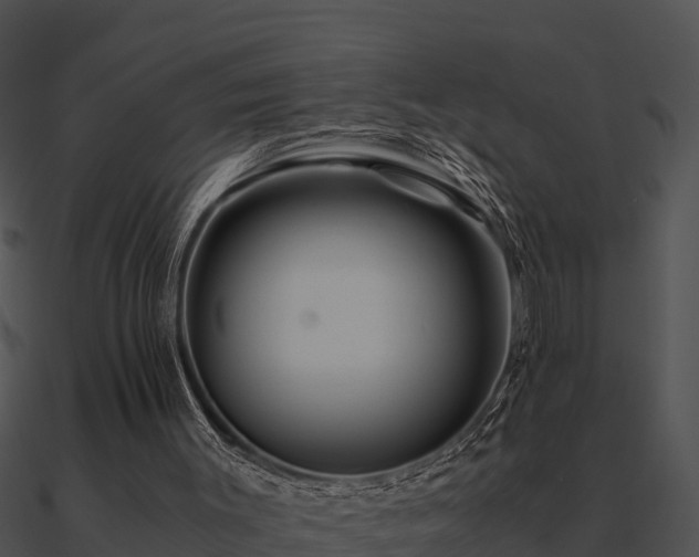 X0000090990003200708021532