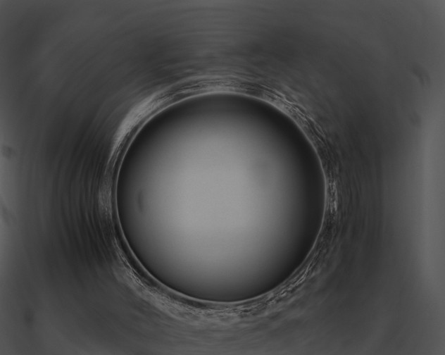 X0000090990004200708021532