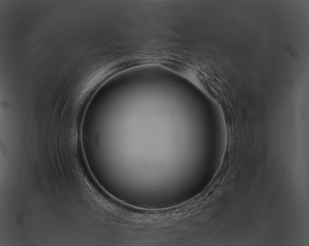 X0000090990005200708021532