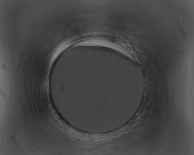 X0000090990006200708021532