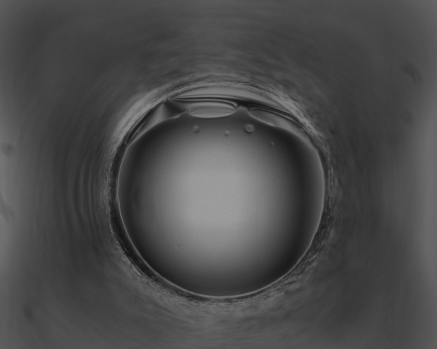 X0000090990007200708021532