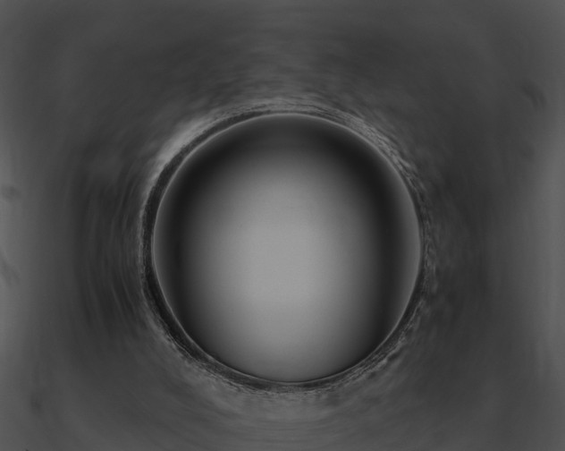 X0000090990008200708021532