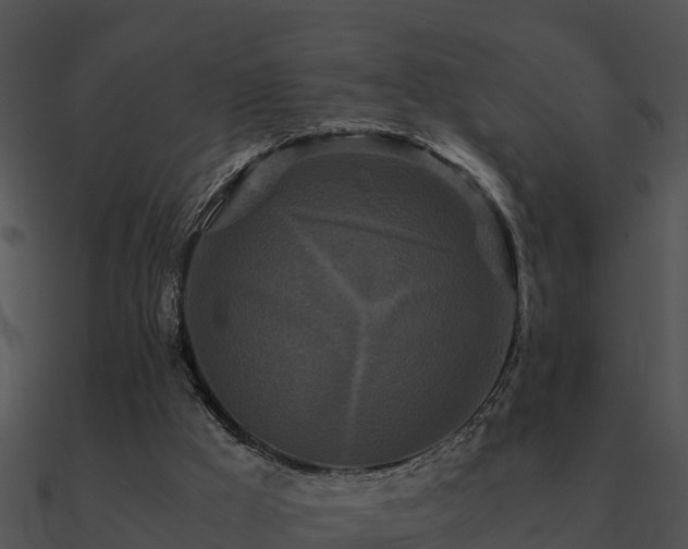 X0000090990009200708021532