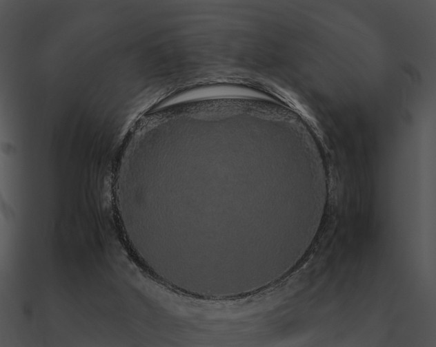 X0000090990010200708021532