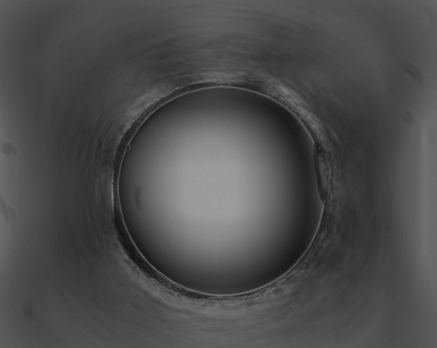 X0000090990011200708021532