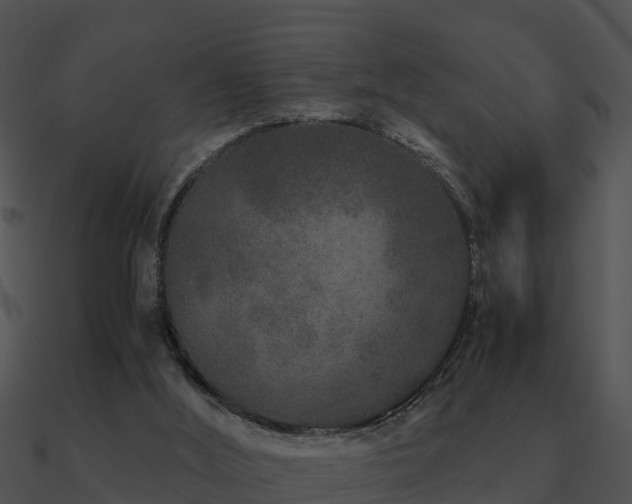 X0000090990012200708021532
