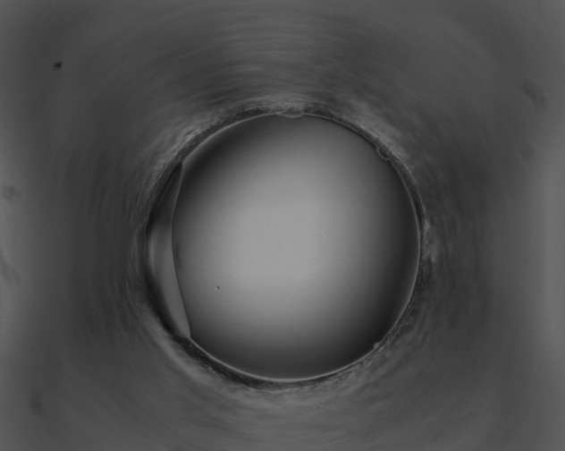 X0000090990013200708021532