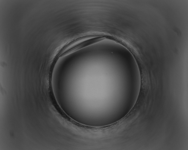 X0000090990015200708021532