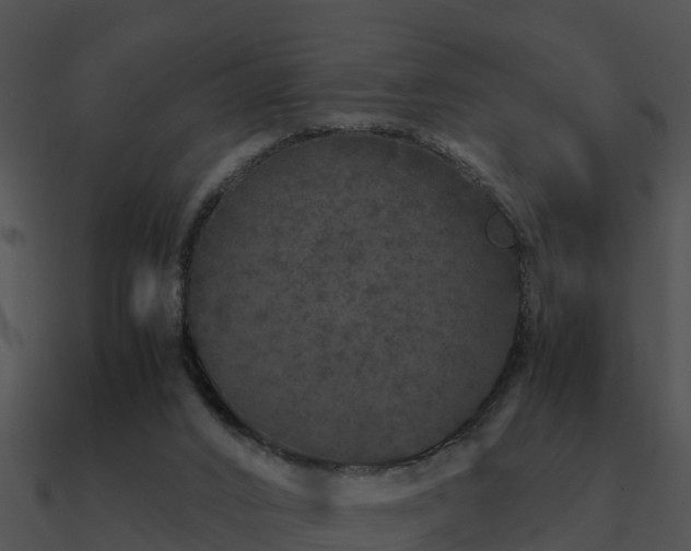 X0000090990016200708021532
