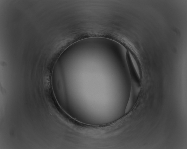 X0000090990017200708021532