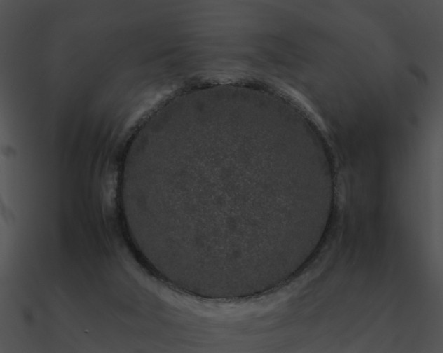 X0000090990018200708021532