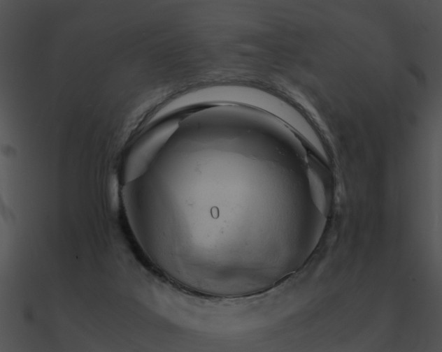 X0000090990019200708021532