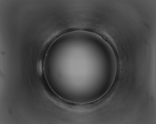 X0000090990020200708021532