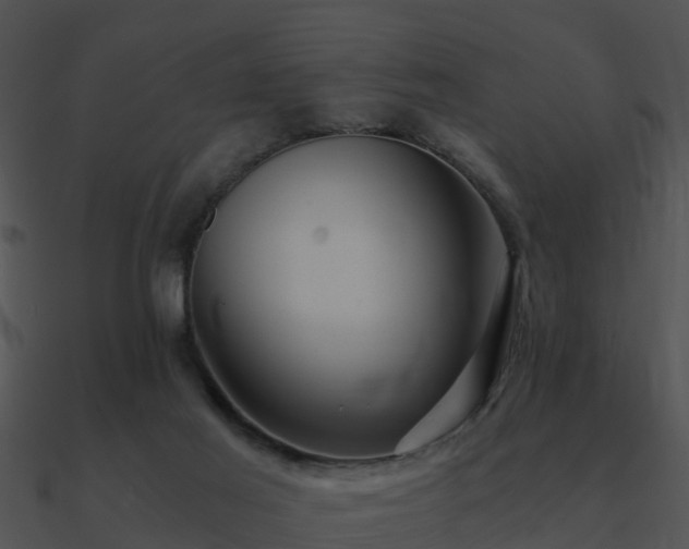 X0000090990021200708021532