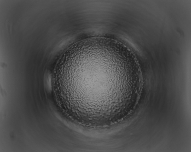 X0000090990022200708021532