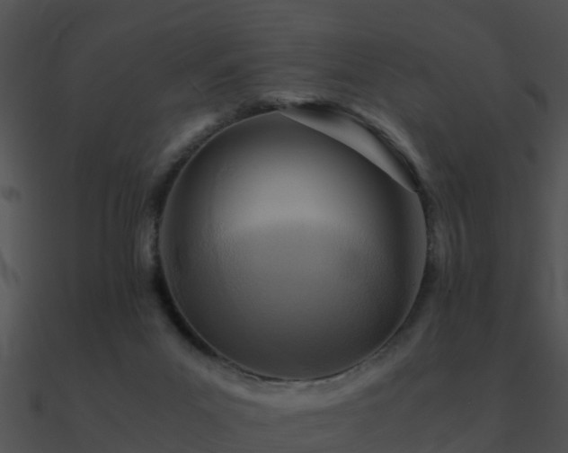 X0000090990023200708021532