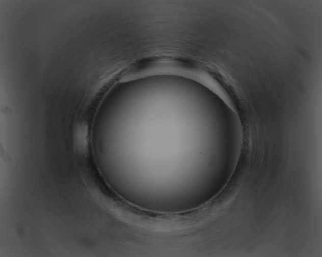 X0000090990024200708021532