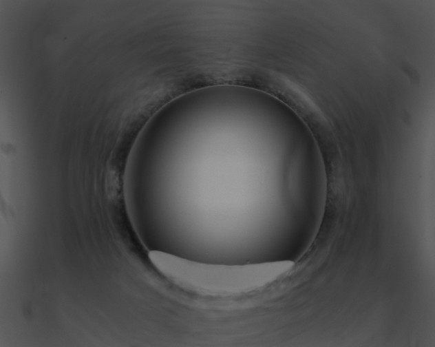 X0000090990025200708021532