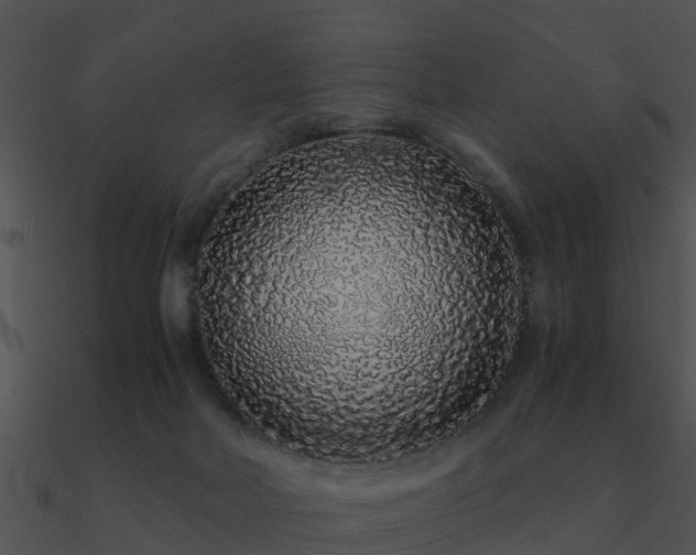 X0000090990026200708021532
