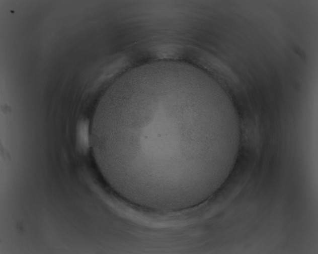 X0000090990028200708021532