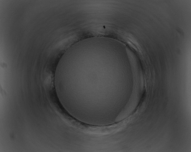X0000090990029200708021532