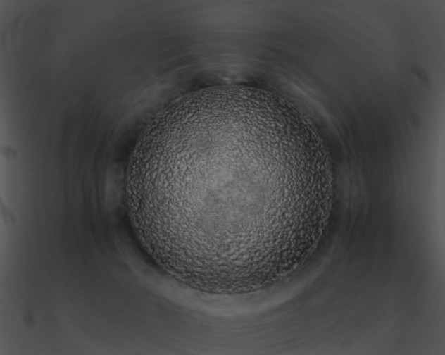 X0000090990030200708021532