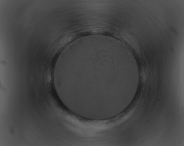 X0000090990032200708021532