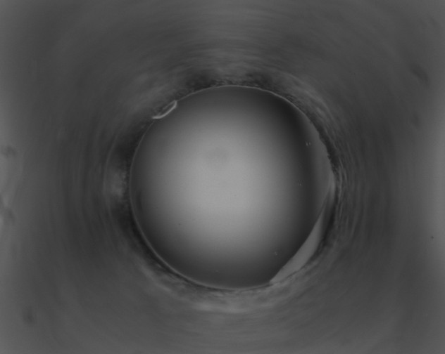 X0000090990033200708021532