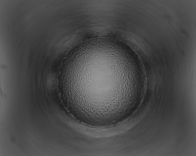 X0000090990034200708021532