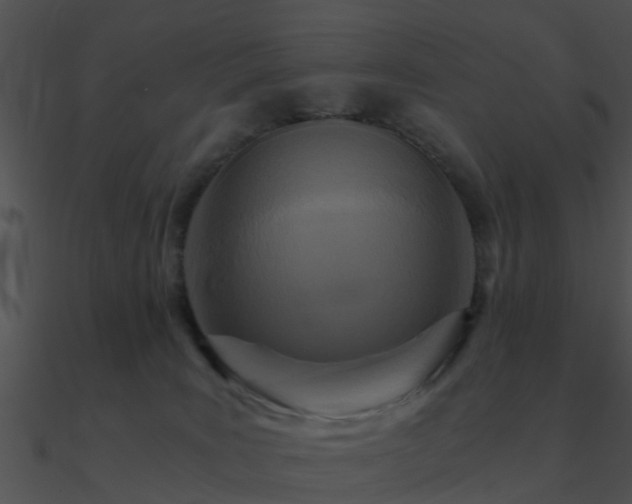 X0000090990035200708021532