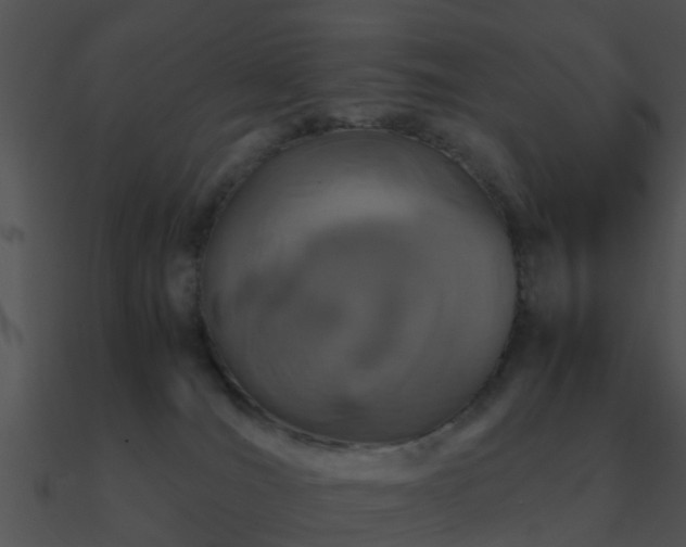 X0000090990036200708021532