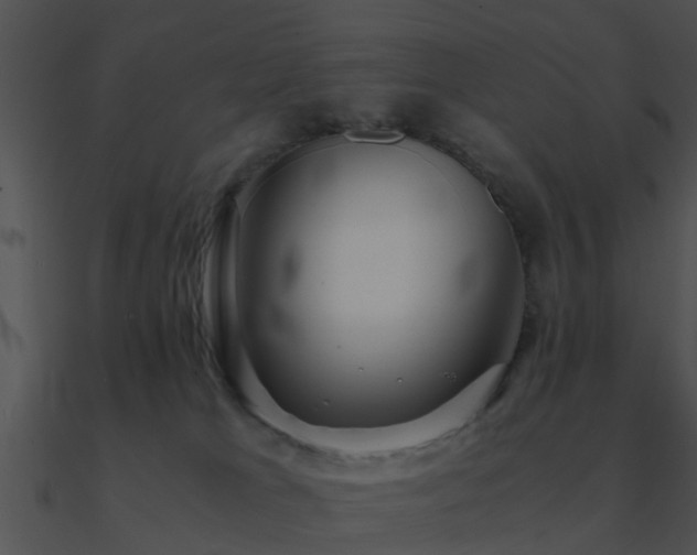 X0000090990037200708021532