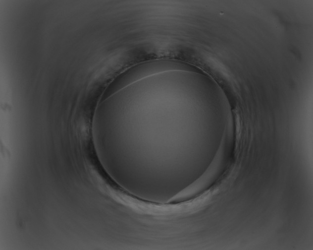 X0000090990039200708021532